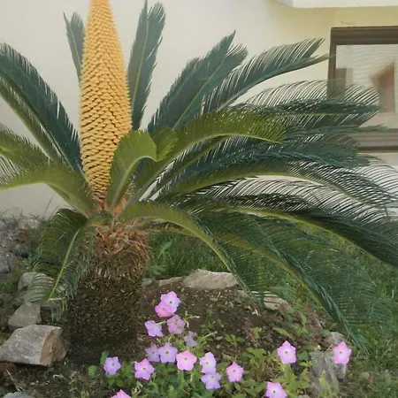 Amari Апарт-отель 3*