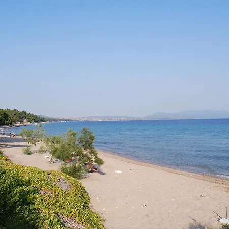 Amari Metamorfosi (Sithonia)