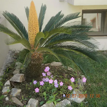 Aparthotel Amari Metamorfosi (Sithonia)