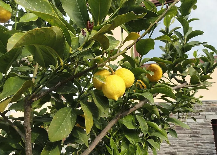 Apartahotel Amari 3*