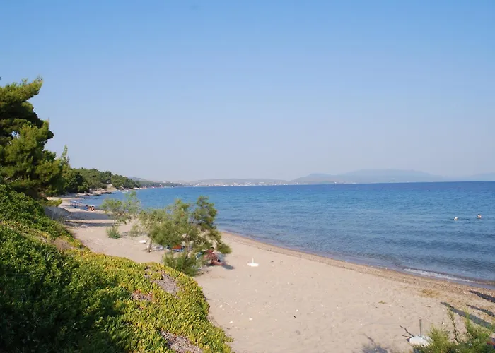 Amari Metamorfosi (Sithonia)